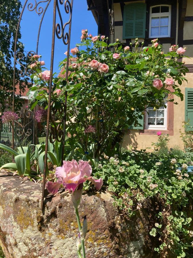 Au Fil Du Temps Bed and Breakfast Imbsheim Eksteriør billede
